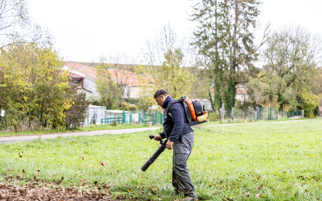 Entretien de jardin à Toul : un bien-être à chaque saison